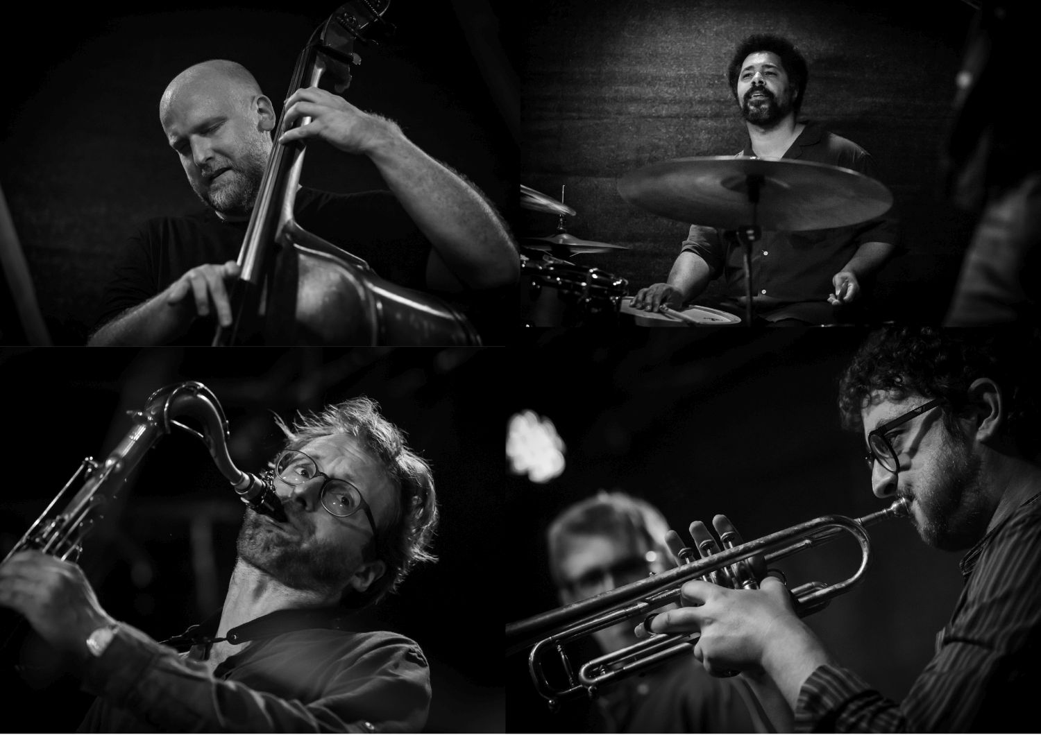 Scheidt_Ayza_Ehwald_Garcia