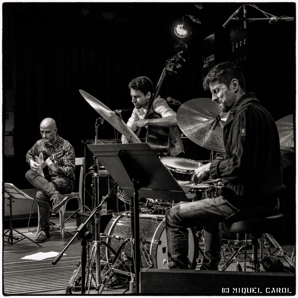 Pau Lligadas Madera Viva