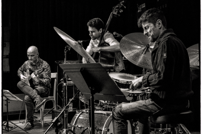 Pau Lligadas Madera Viva