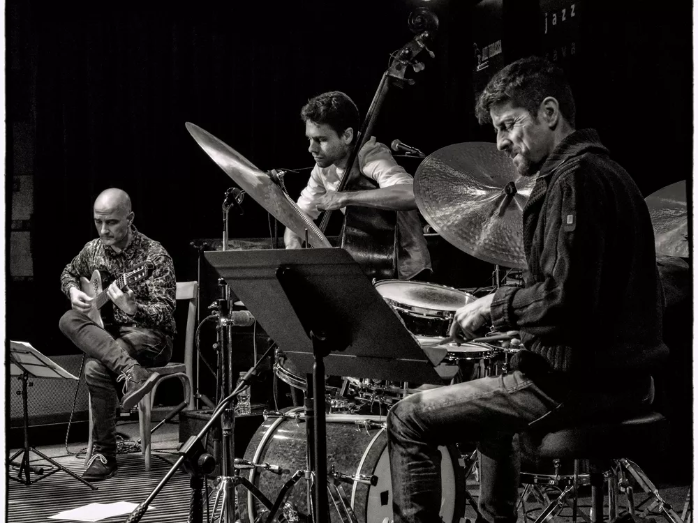 Pau Lligadas Madera Viva