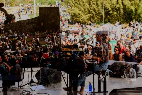 B_Mygarden_BasicVibes