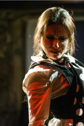 Violeta Barrio