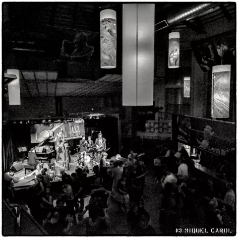 38 FJT Swing Paradis