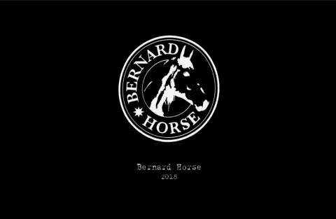 Bernard Horse