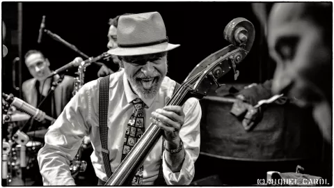 Doc Scanlon´s Cool Cat Combo 2018