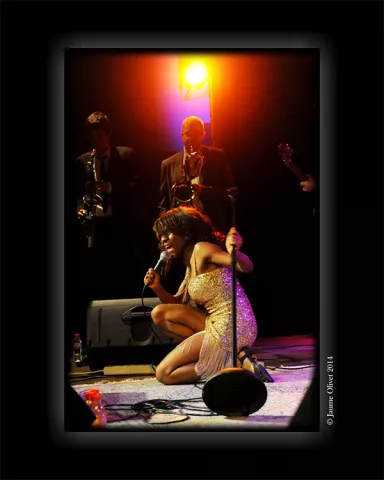 Un Cafè amb Jazz, Festival 2014