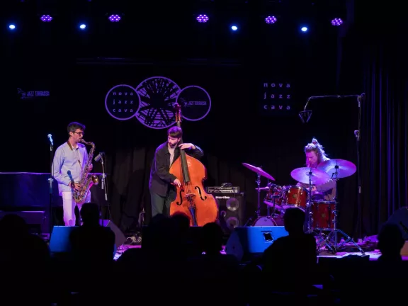 Matthias Van Der Brande Trio