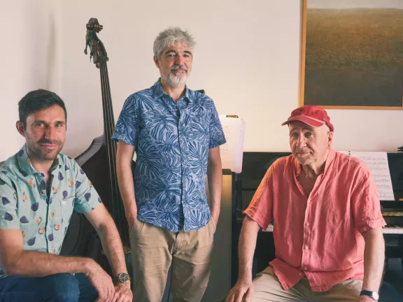 Pérez, Arnedo & Fumero Trio