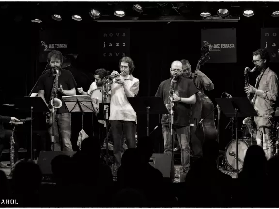 Sergi Sirvent Octopussy Cats