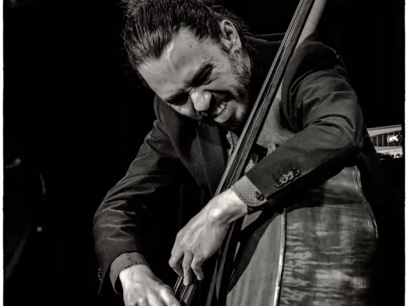Tamir Shmerling