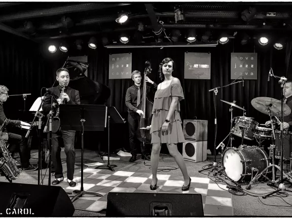 Zazu "Swinging Love"