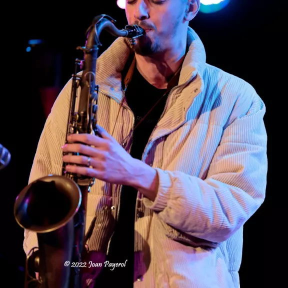 imatge artista/instrument