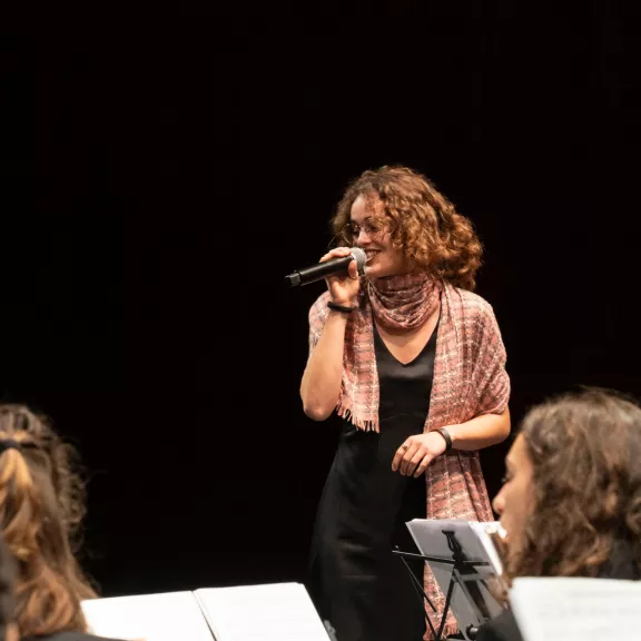 imatge artista/instrument