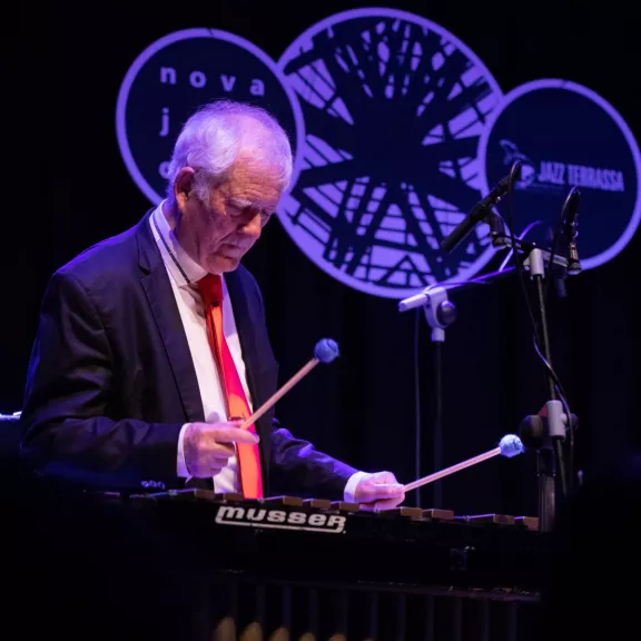 imatge artista/instrument