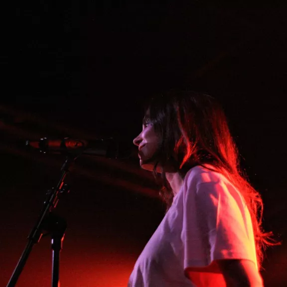 imatge artista/instrument