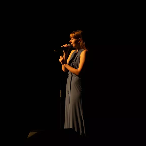 imatge artista/instrument