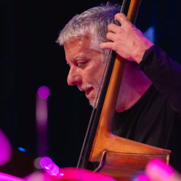 imatge artista/instrument