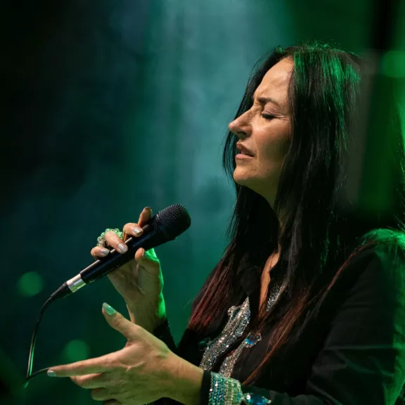 imatge artista/instrument