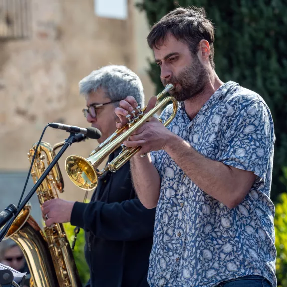 imatge artista/instrument