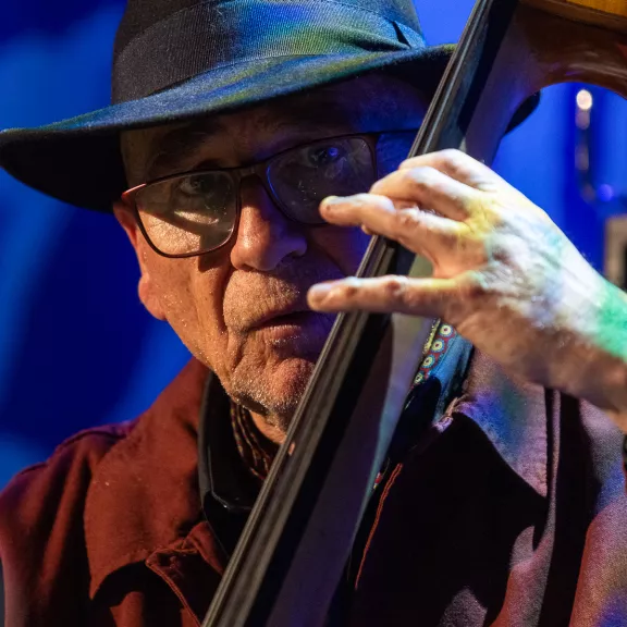 imatge artista/instrument