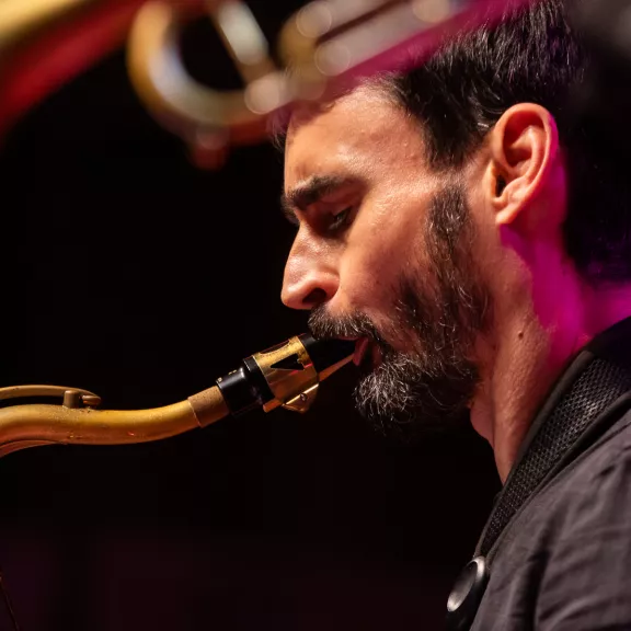 imatge artista/instrument