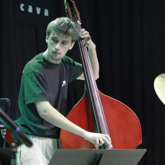 imatge artista/instrument