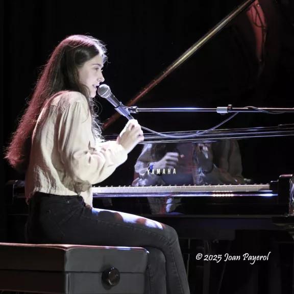 imatge artista/instrument