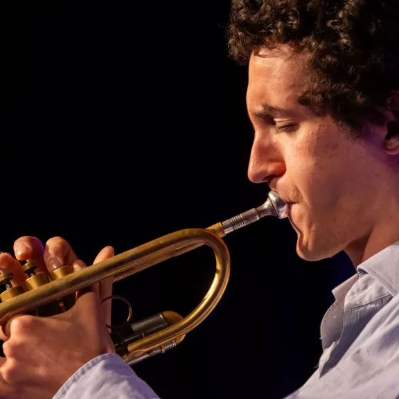 imatge artista/instrument