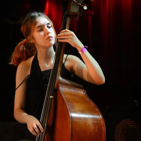 imatge artista/instrument