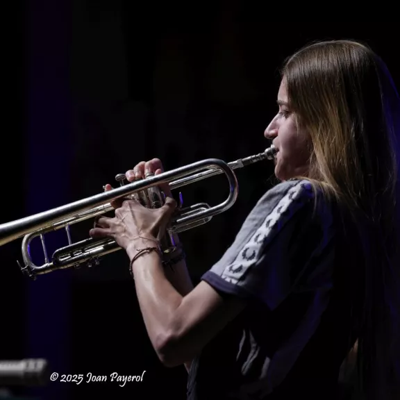 imatge artista/instrument