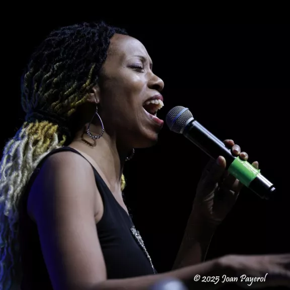 imatge artista/instrument