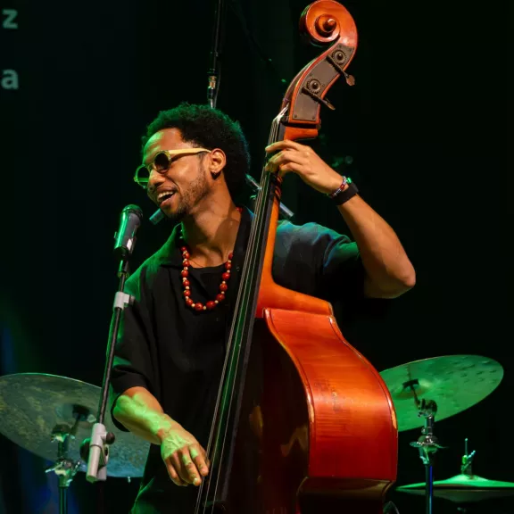 imatge artista/instrument