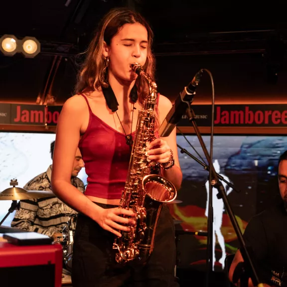 imatge artista/instrument