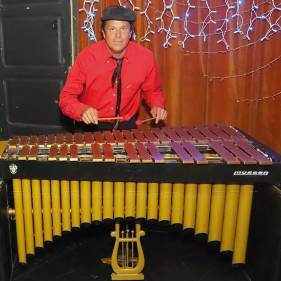 imatge artista/instrument