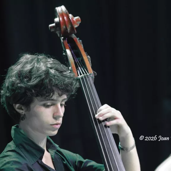 imatge artista/instrument