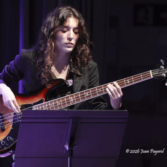imatge artista/instrument