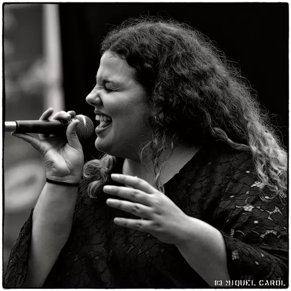 imatge artista/instrument