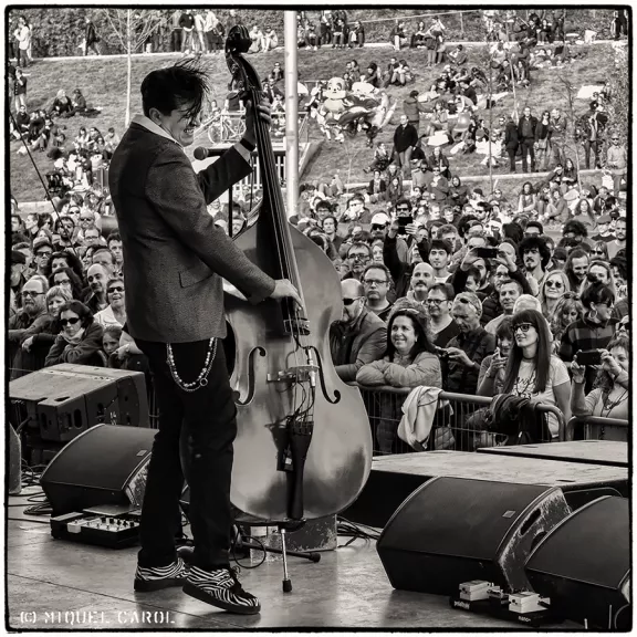 imatge artista/instrument