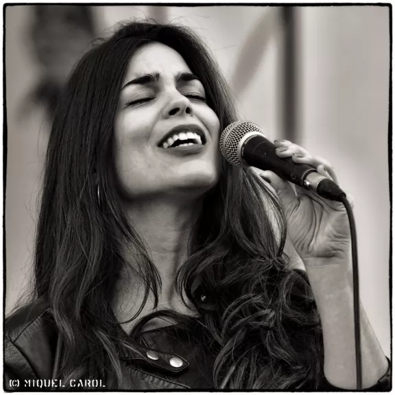 imatge artista/instrument