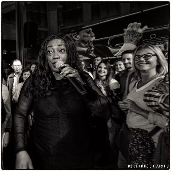 imatge artista/instrument