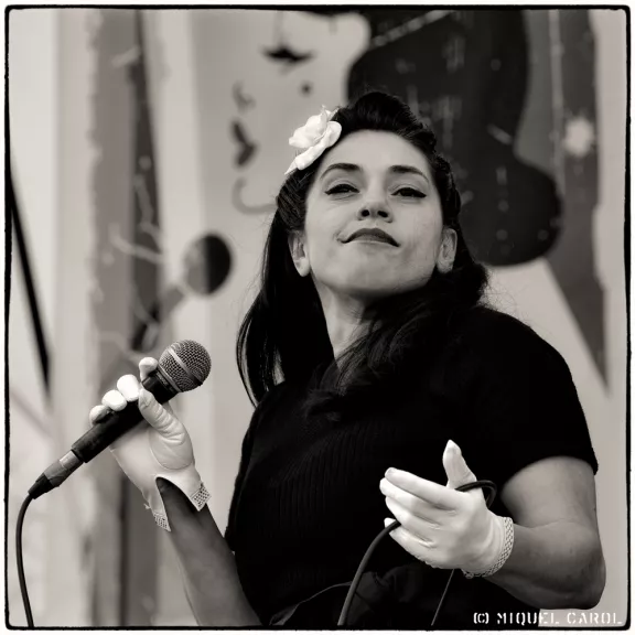 imatge artista/instrument