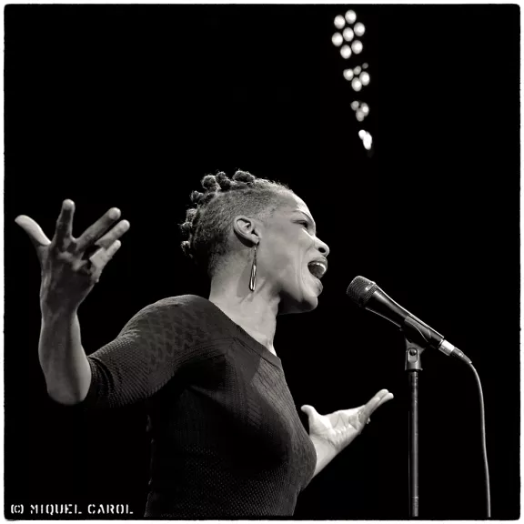 imatge artista/instrument