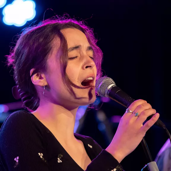 imatge artista/instrument