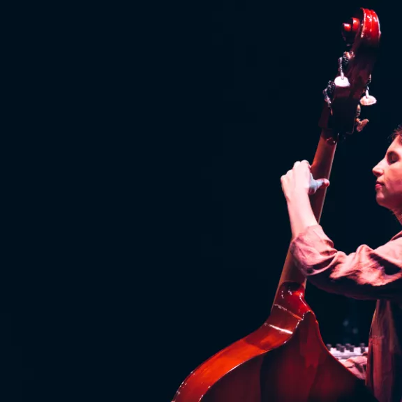 imatge artista/instrument