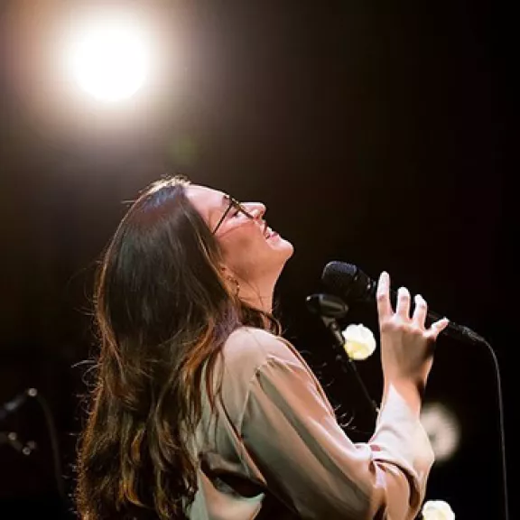 imatge artista/instrument