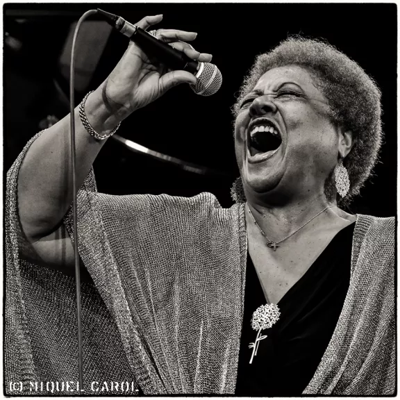 imatge artista/instrument