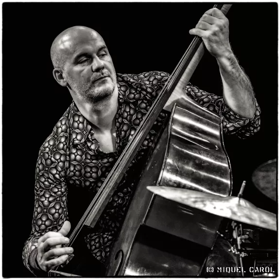 imatge artista/instrument