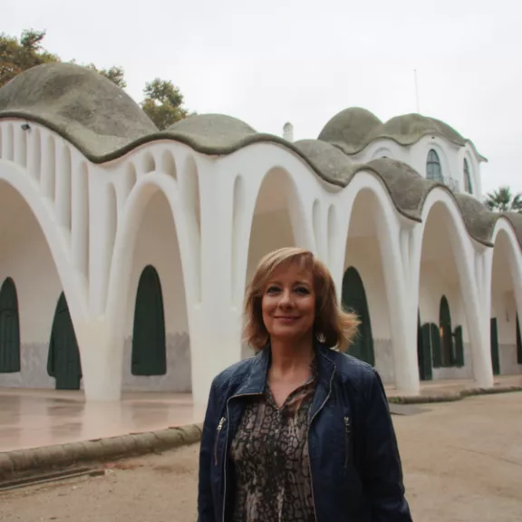 imatge artista/instrument