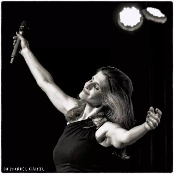 imatge artista/instrument