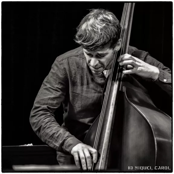 imatge artista/instrument